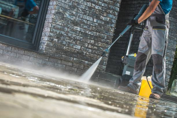 Best Boat and Dock Cleaning  in Apollo Beach, FL