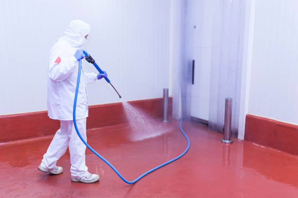 Best Building Exterior Washing  in Apollo Beach, FL