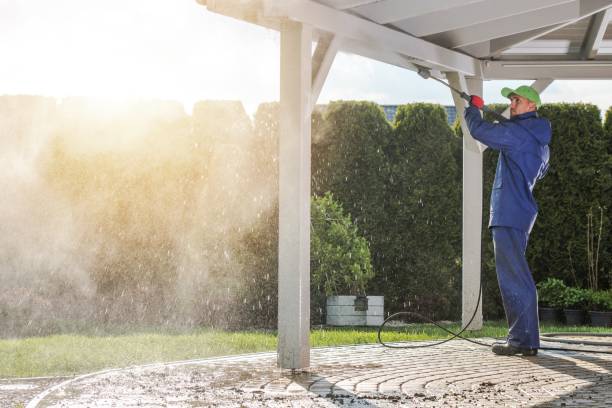 Best Fence Cleaning  in Apollo Beach, FL