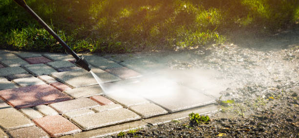 Best Spring Cleaning  in Apollo Beach, FL